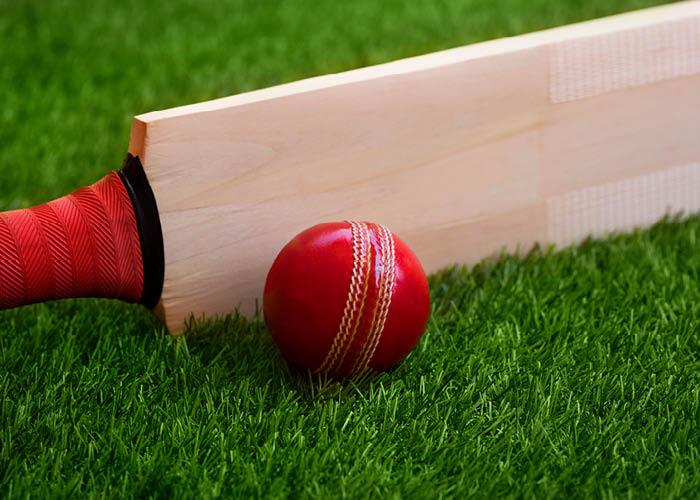 Cricket bat and red ball on green grass