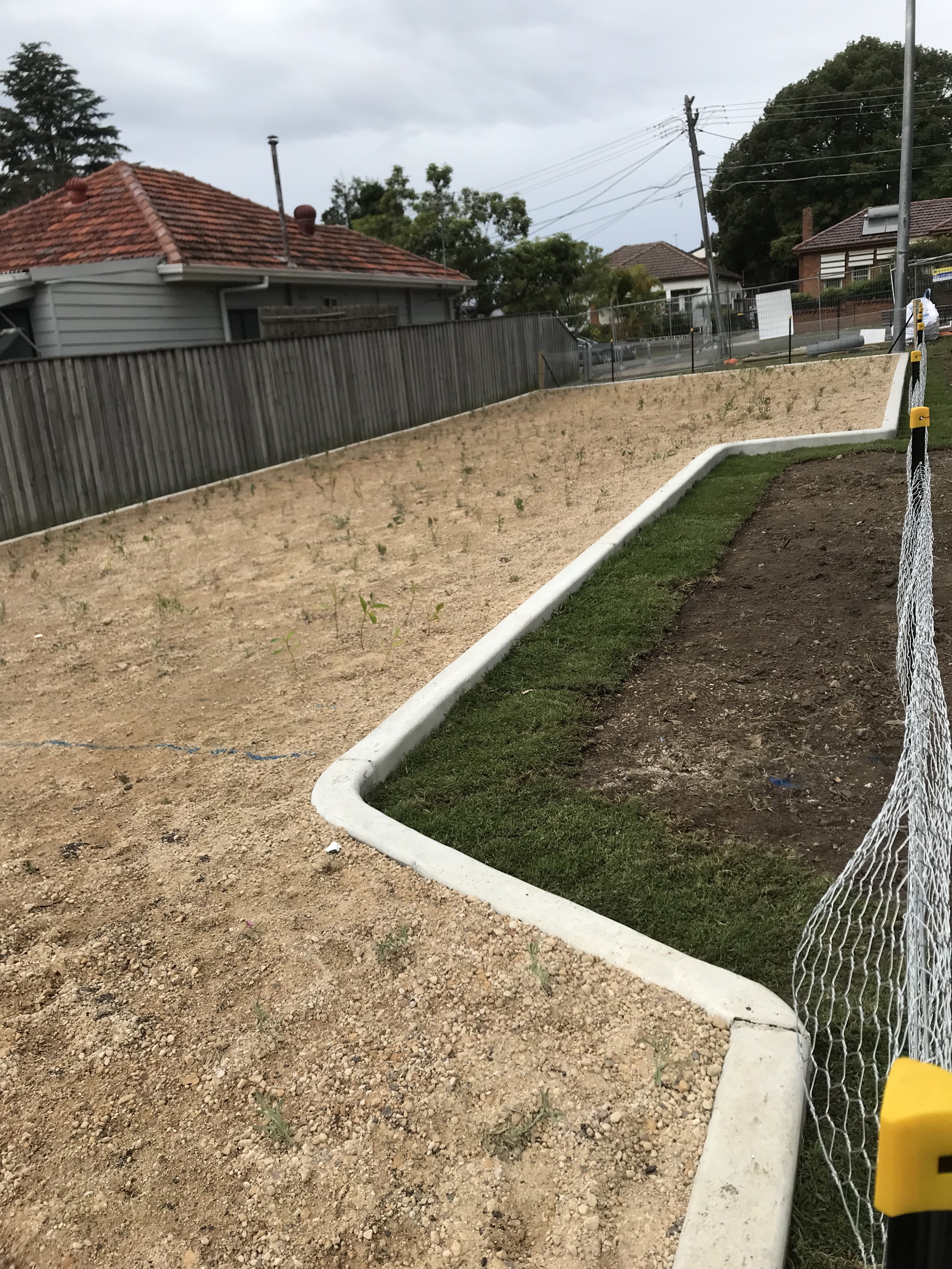 Newly planted woody meadow